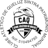 CAQ³