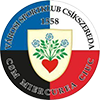 CSS׿
