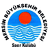 ÷BSB